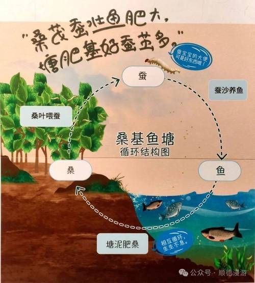 混養(yǎng)時(shí)如何提供足夠的資源，混養(yǎng)時(shí)如何提供足夠的資源供給策略，混養(yǎng)系統(tǒng)中資源供給策略