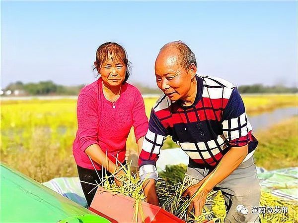 混養(yǎng)時(shí)如何提供足夠的資源，混養(yǎng)時(shí)如何提供足夠的資源供給策略，混養(yǎng)系統(tǒng)中資源供給策略