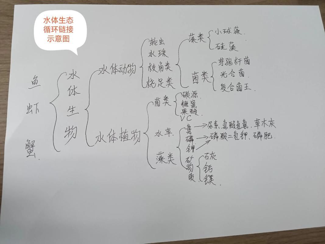 混養(yǎng)時(shí)如何提供足夠的資源，混養(yǎng)時(shí)如何提供足夠的資源供給策略，混養(yǎng)系統(tǒng)中資源供給策略