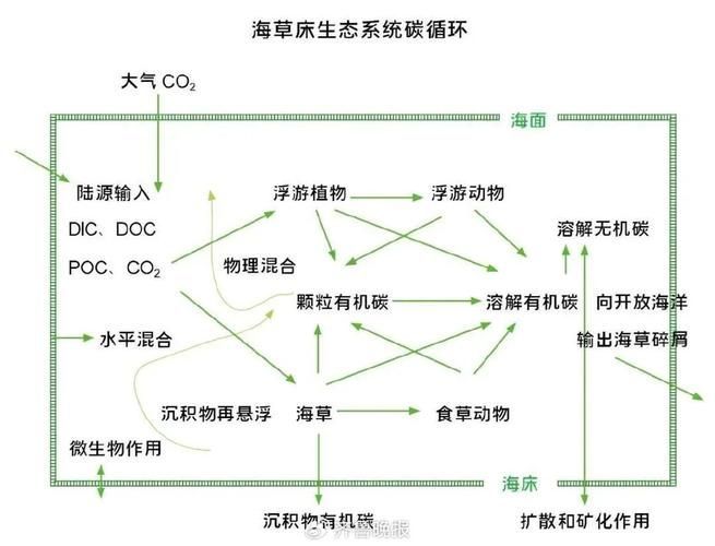 混養(yǎng)時(shí)如何提供足夠的資源，混養(yǎng)時(shí)如何提供足夠的資源供給策略，混養(yǎng)系統(tǒng)中資源供給策略
