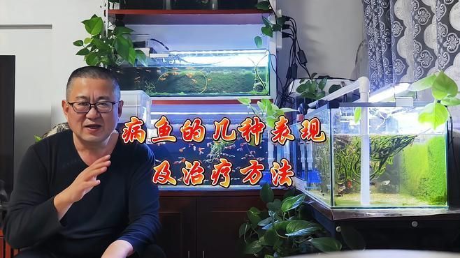 如何判斷魚是否需要用藥，如何判斷魚是否需要用藥，