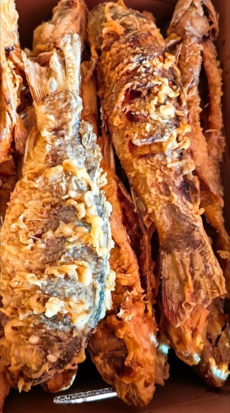 如何判斷魚炸鱗是否嚴重，mcp工具中“魚炸鱗”指魚炸鱗嚴重程度量化標準