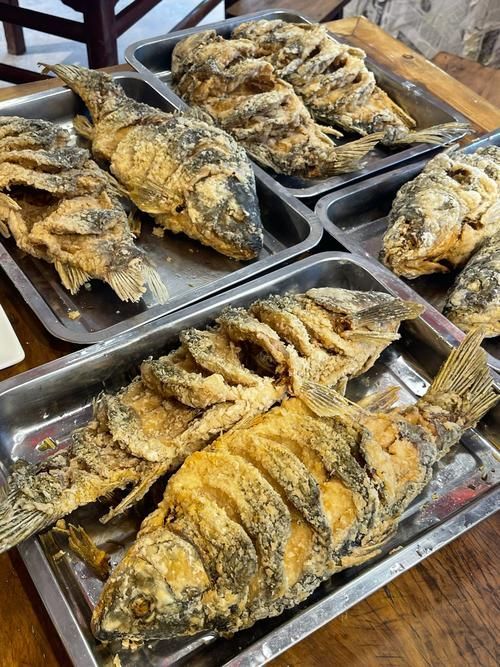 如何判斷魚炸鱗是否嚴重，mcp工具中“魚炸鱗”指魚炸鱗嚴重程度量化標準