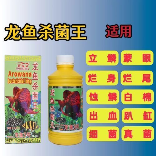 給我提供龍魚殺菌的詳細步驟圖片，龍魚殺菌的詳細步驟