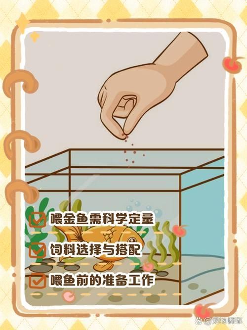 如何預防金魚肚子大炸鱗，如何預防金魚“肚子大炸鱗”