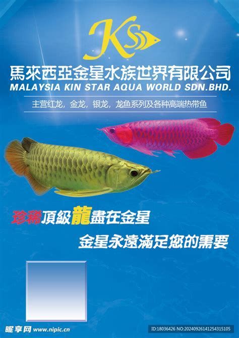 詳解（1000字和配圖）龍魚有哪些著名的品種？