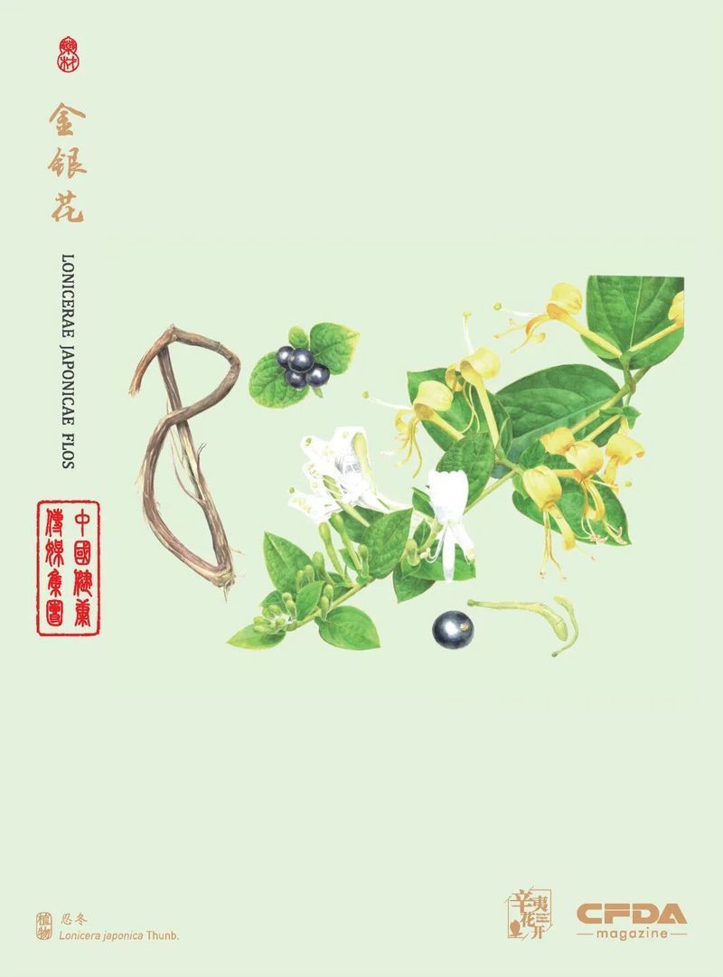 如何判斷甲硝唑是否有效，如何判斷甲硝唑有效