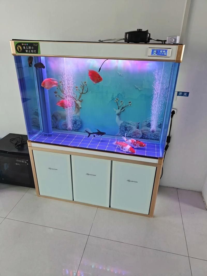 如何判斷一個龍魚缸是否權威？，如何判斷一個龍魚缸是否權威