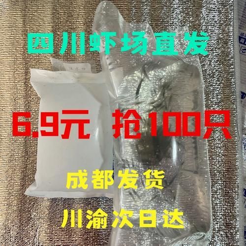 有哪些適合龍魚小苗的餌料？，龍魚小苗喂食指南萌寵訓(xùn)練師嘉佳每日喂食計(jì)劃表