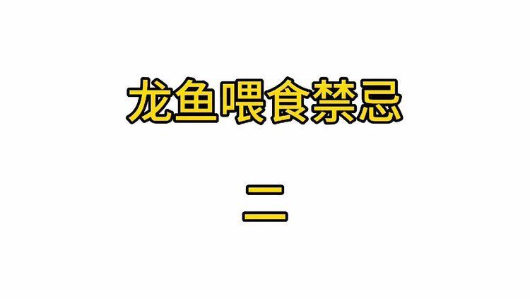 除了以上三種，還有哪些飼料對(duì)龍魚有害？，龍魚養(yǎng)殖技術(shù)｜龍魚飼養(yǎng)注意事項(xiàng)