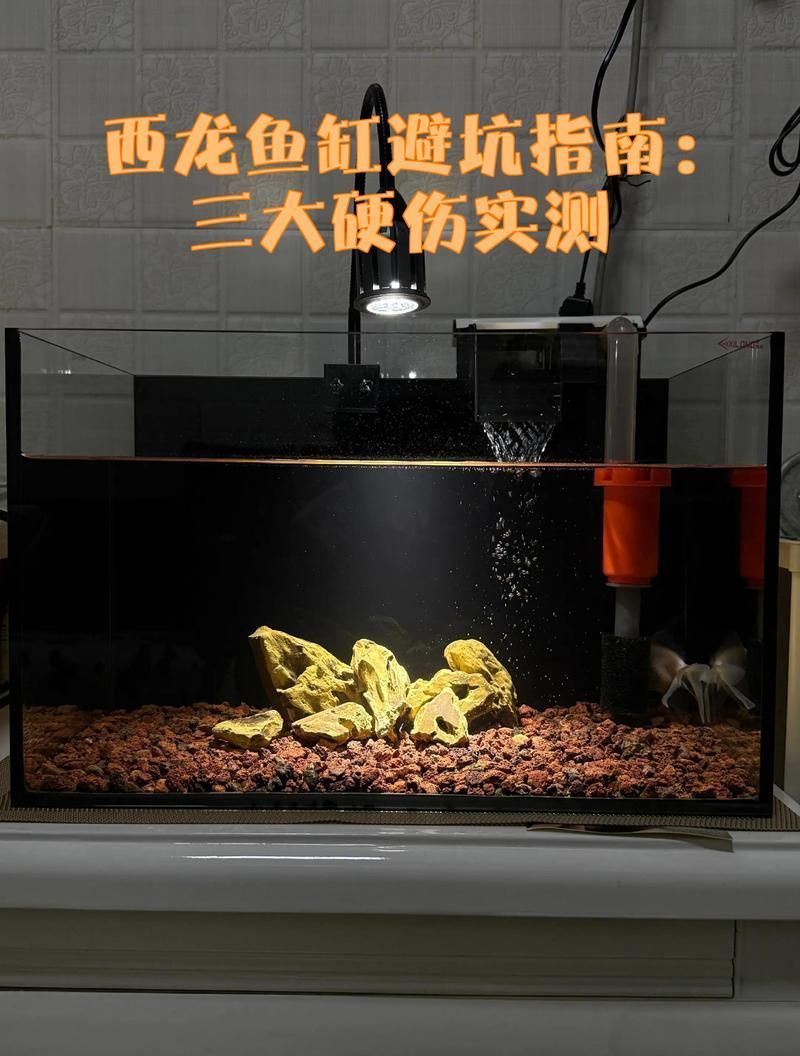 西龍魚缸哪個型號性價比最高