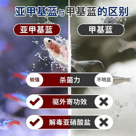 如何預防龍魚再次感染外寄？，龍魚再次感染外寄的預防方法