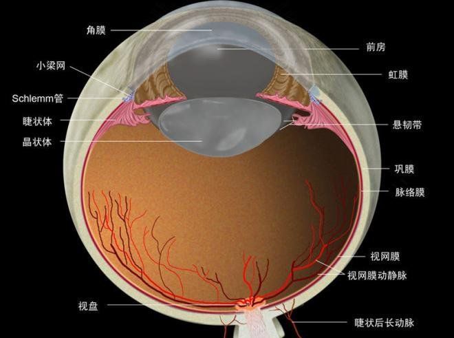 如何判斷蒙眼病是否由真菌引起，一步召回真菌性角膜炎