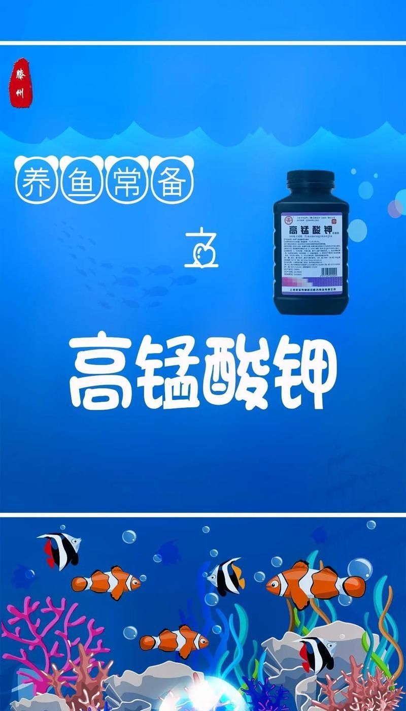 高錳酸鉀治療金魚爛尾有哪些副作用，如何正確使用高錳酸鉀治療金魚爛尾？