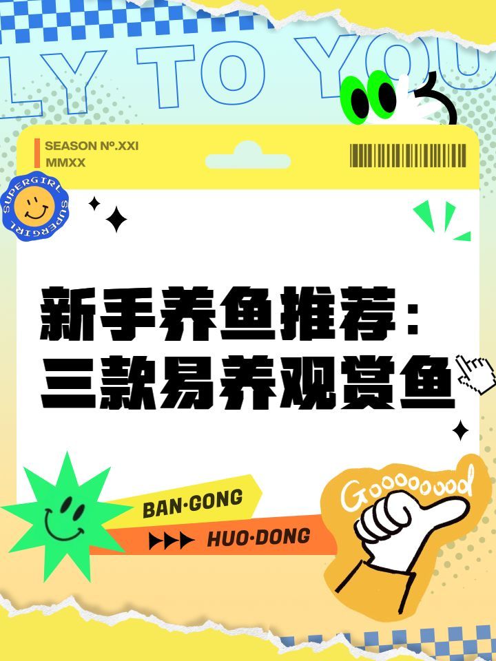 哪種觀賞魚適合新手飼養，新手養魚推薦