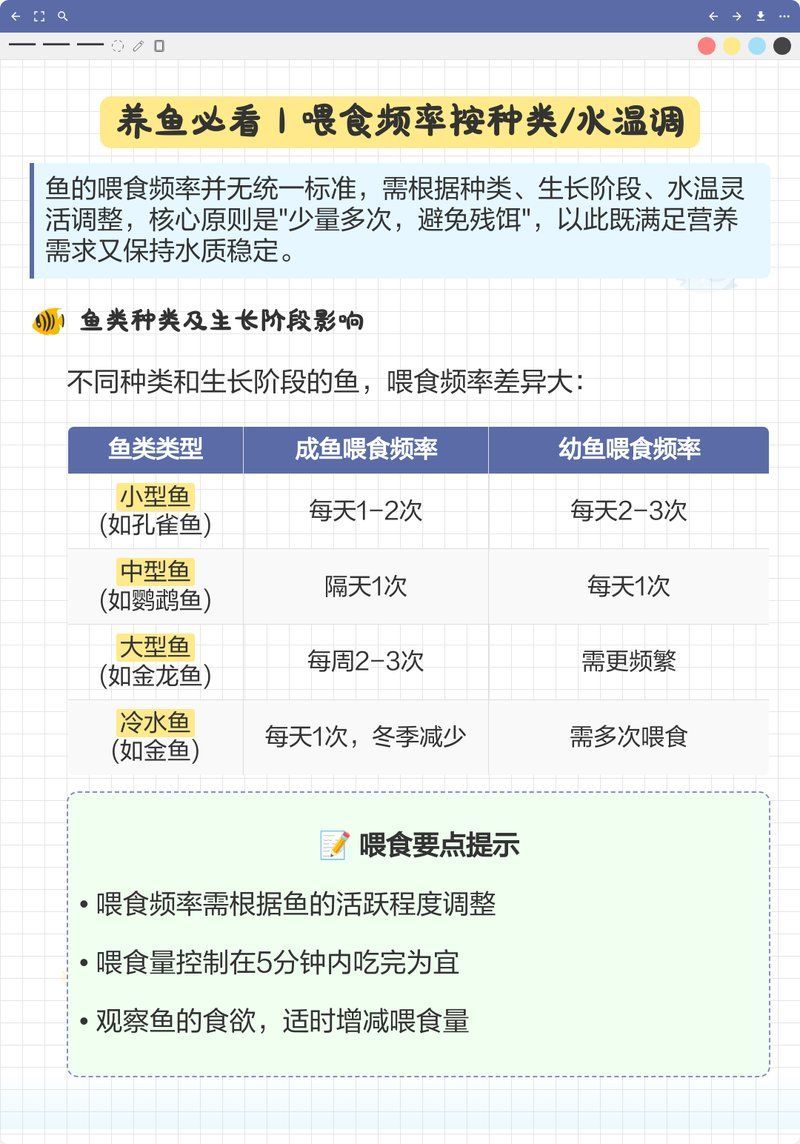 50cm金龍魚應(yīng)該多久喂一次，養(yǎng)魚必看|金龍魚喂食頻率按種類/水溫調(diào)