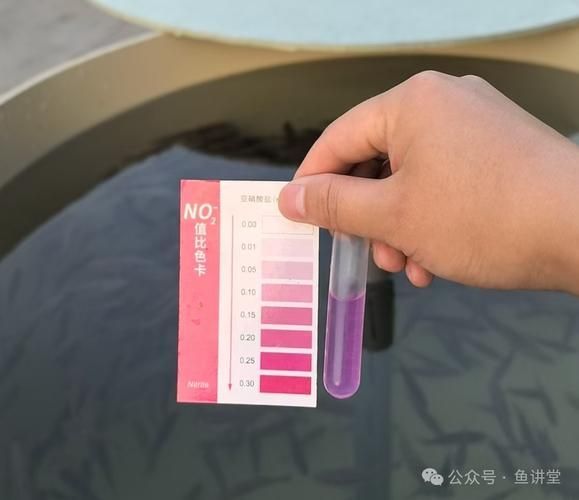 如何預防龍魚細菌性腸炎，如何預防龍魚細菌性腸炎,用戶要求詳解