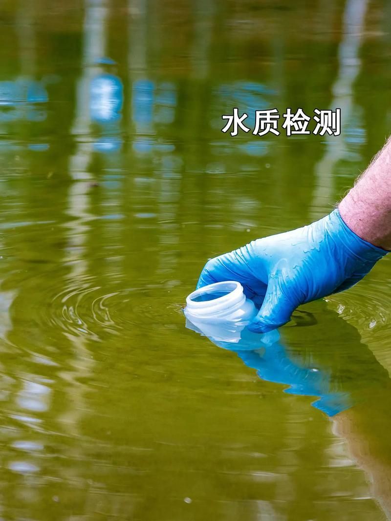 如何預防龍魚細菌性腸炎，如何預防龍魚細菌性腸炎,用戶要求詳解