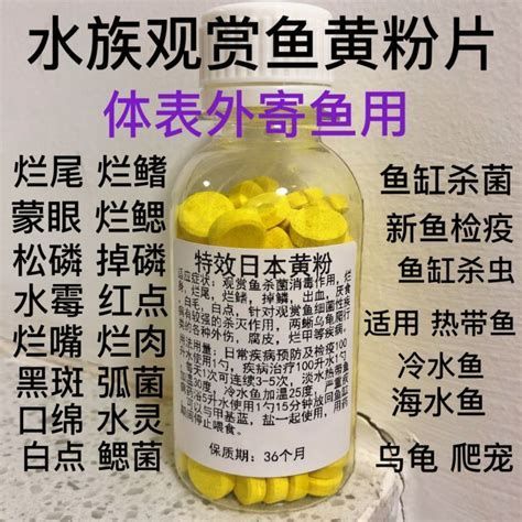 觀賞魚爛尾爛鰭爛鱗用什么藥，觀賞魚爛尾、爛尾、爛尾、爛鰭、爛鱗用什么藥治療