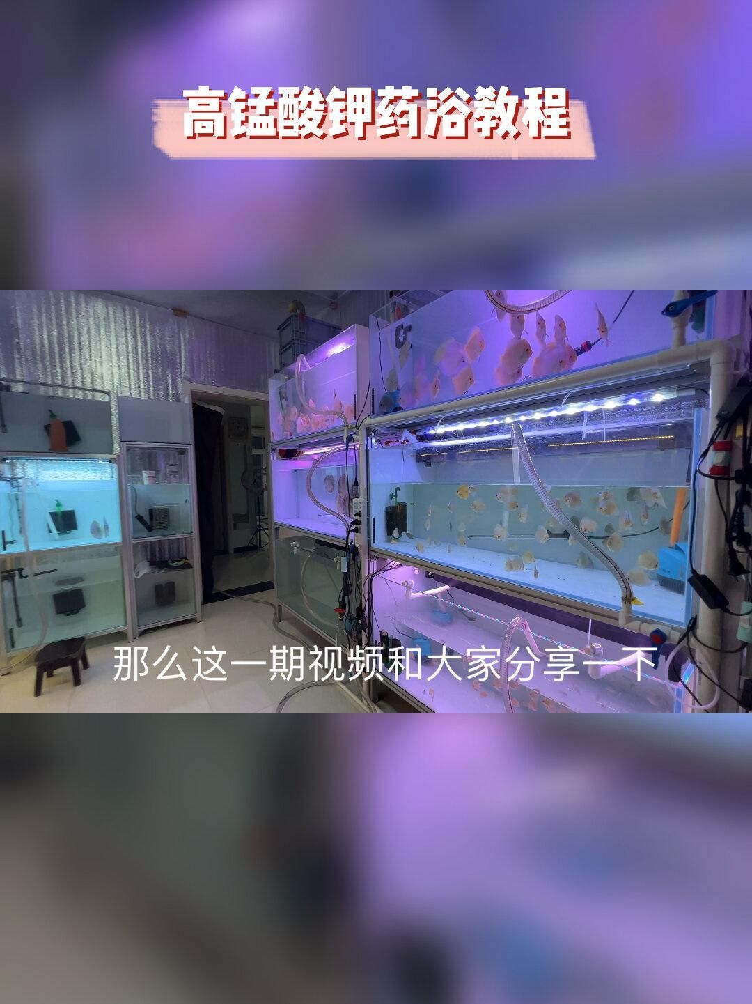 魚鰓腐爛早期如何治療，魚鰓腐爛早期怎么辦