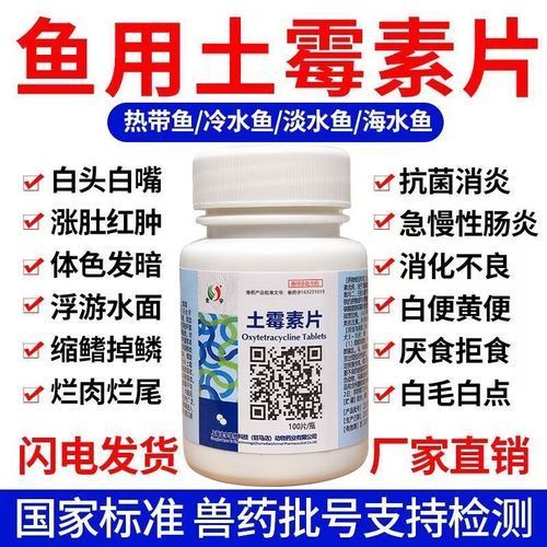 有哪些藥物可以治療龍魚拒食
