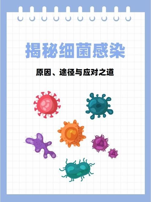 如何預防和治療細菌性疾病，細菌性疾病基礎知識