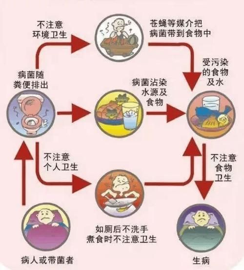 如何預防和治療細菌性疾病，細菌性疾病基礎知識