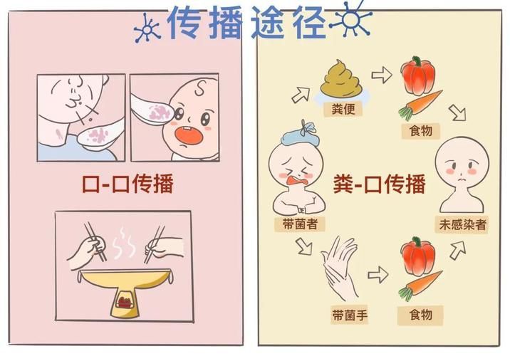 如何預防和治療細菌性疾病，細菌性疾病基礎知識