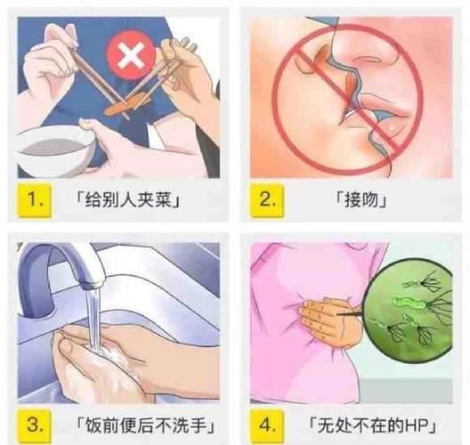 如何預防和治療細菌性疾病，細菌性疾病基礎知識