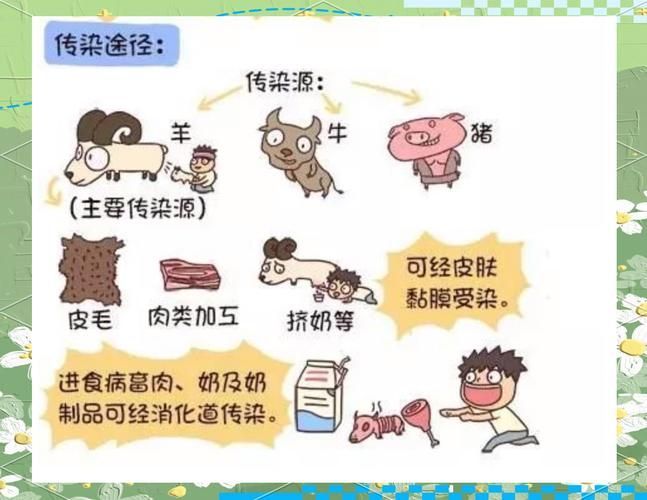 如何預防和治療細菌性疾病，細菌性疾病基礎知識