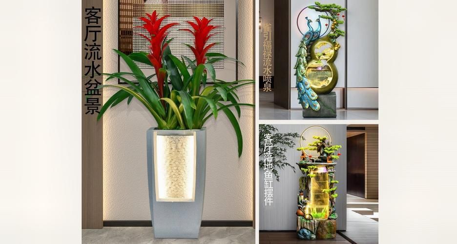 長壽花如何應對金龍魚的競爭？，家庭中長壽花與金龍魚魚缸共存環境中的“競爭”關系
