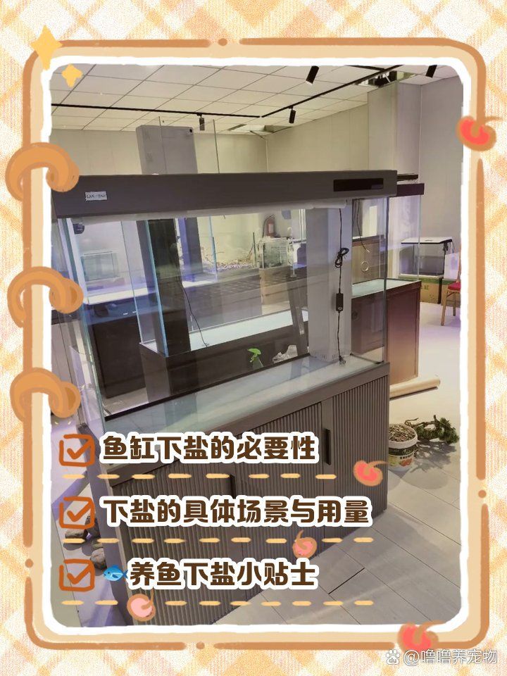 如何判斷龍魚是否需要下鹽，怎樣判斷龍魚是否需要下鹽