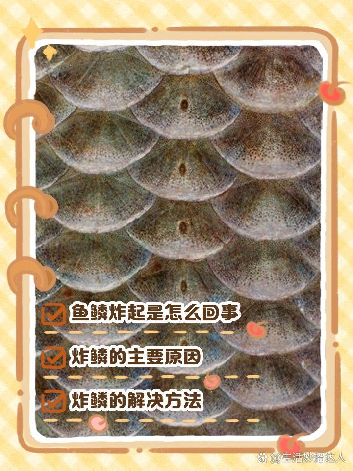 魚炸鱗會自愈嗎，觀賞魚炸磷的原因及幾種治療方案全民小視頻判斷魚腹水是否好轉(zhuǎn)