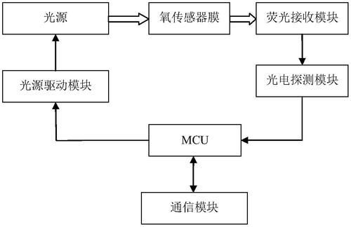 如何檢測魚缸中的溶氧量？，家庭魚缸溶氧量檢測