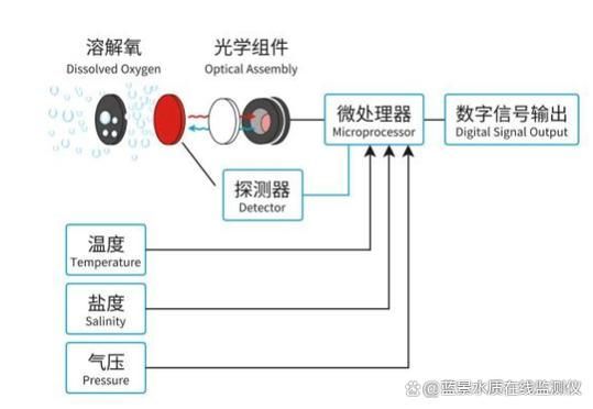如何檢測魚缸中的溶氧量？，家庭魚缸溶氧量檢測
