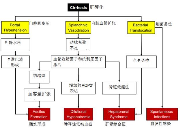 雷龍腹水患者應該如何護理，雷龍腹水患者如何護理