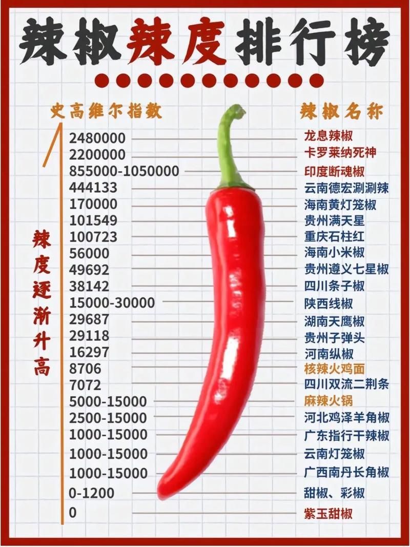 紅龍超血和辣椒哪個更辣，紅龍超血與辣椒哪個更辣？