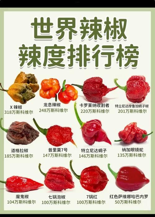 紅龍超血和辣椒哪個更辣，紅龍超血與辣椒哪個更辣？
