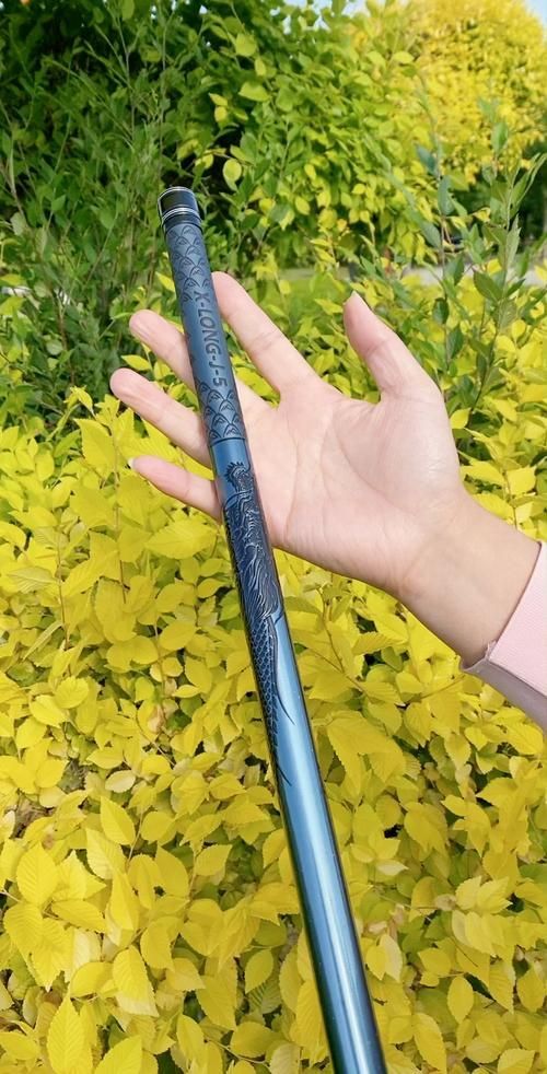 貴定龍魚魚竿有哪些型號(hào)？，“貴定龍魚竿”并非真實(shí)存在的品牌或地方特產(chǎn)“貴定龍魚魚竿”