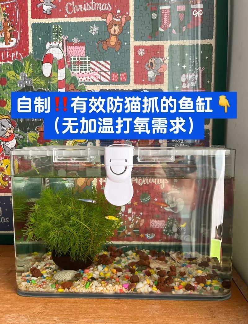 有哪些魚缸適合養(yǎng)貓和魚，養(yǎng)貓和魚的魚缸選擇需要綜合考慮多個(gè)因素以確保寵物的安全和健康