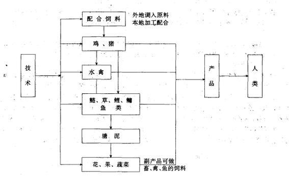 2026年草魚苗市場展望，2026年2026年草魚苗市場
