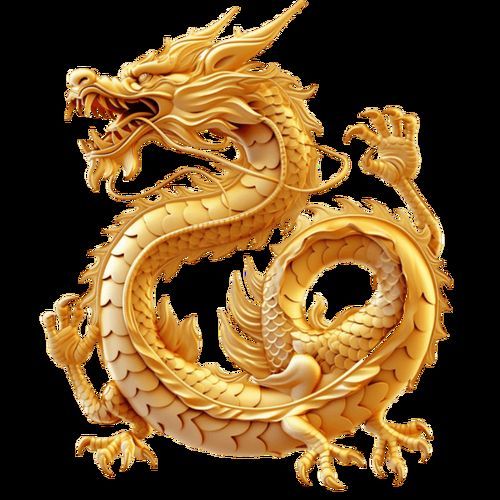 金龍金頭圖片，金頭金龍魚的市場價格是多少