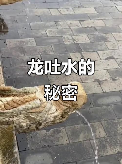 能否提供一張龍的肚子灌水變大的圖片，關于“龍的肚子灌水變大”的問題