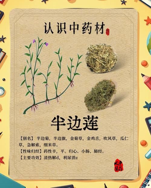 哪些中藥對(duì)魚咬傷有顯著療效，中藥在治療魚咬傷方面具有顯著療效以下是一些常用的中藥及其功效