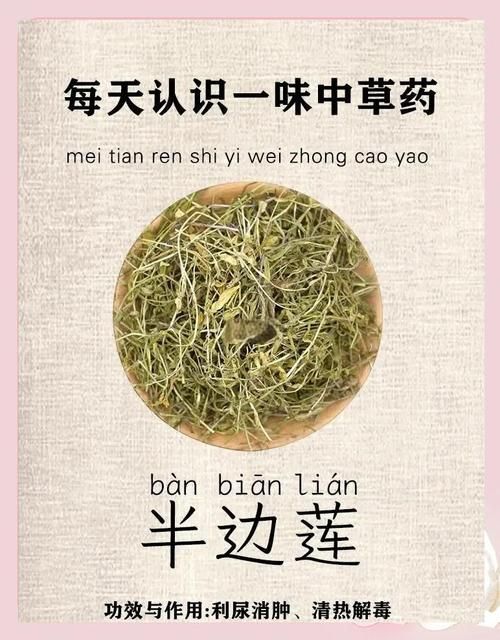 哪些中藥對(duì)魚咬傷有顯著療效，中藥在治療魚咬傷方面具有顯著療效以下是一些常用的中藥及其功效