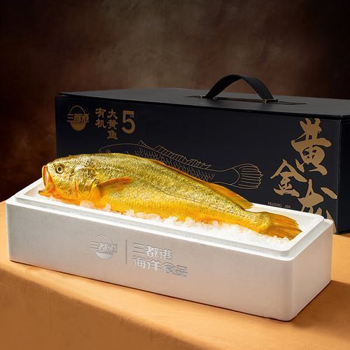 三都龍魚和三通魚的價格走勢如何，三都龍魚與“三通魚”的價格走勢分析