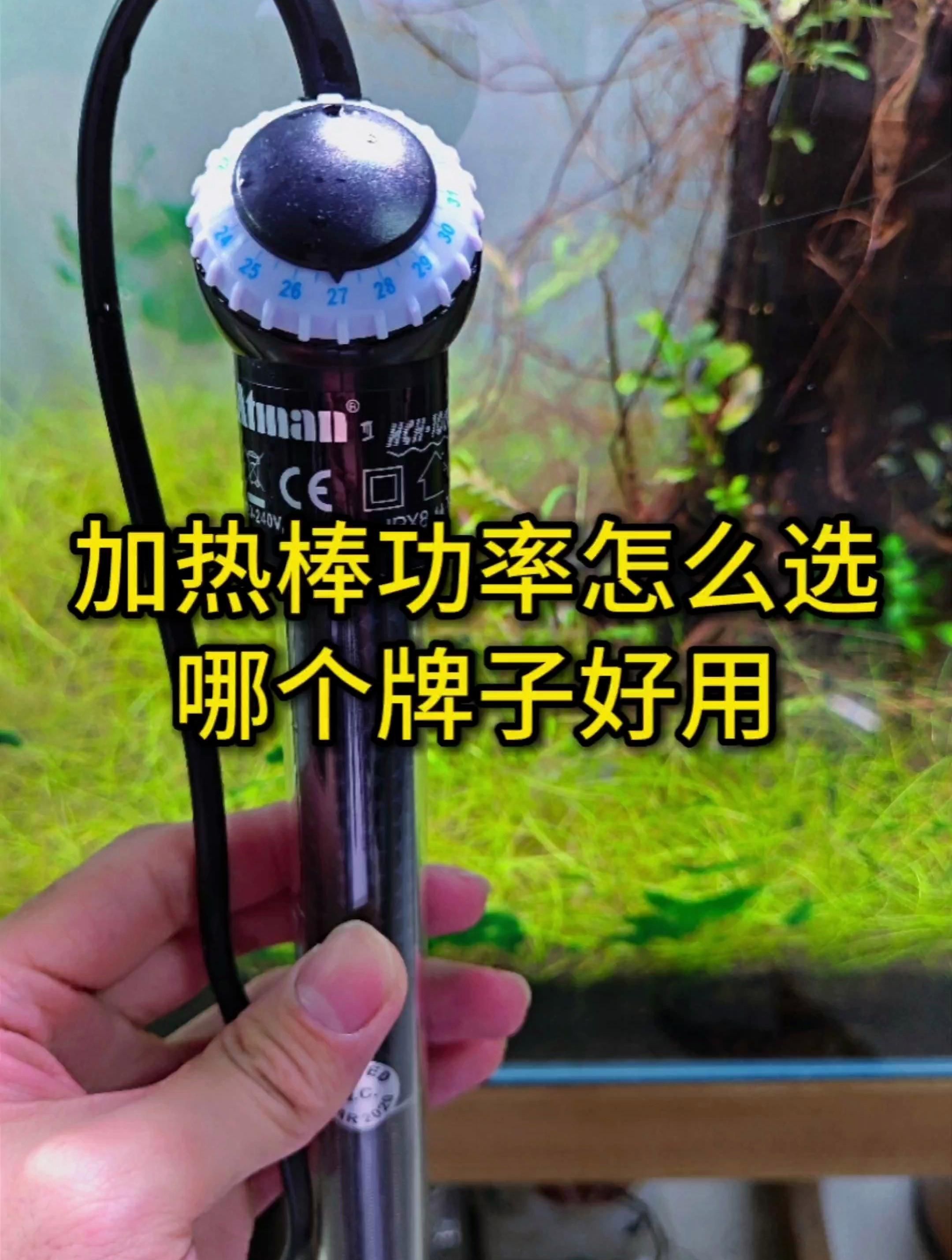 龍魚缸中哪些設備是必備的？，龍魚缸中哪些設備是必備的?