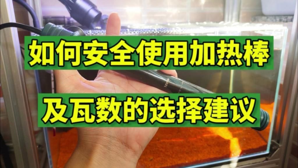 龍魚缸中哪些設備是必備的？，龍魚缸中哪些設備是必備的?