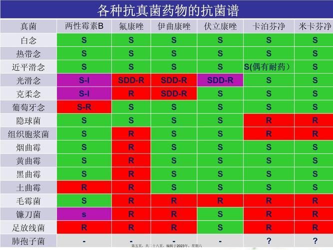 推薦一些有效的抗真菌藥物，感染（足有效、體癬、甲癬）