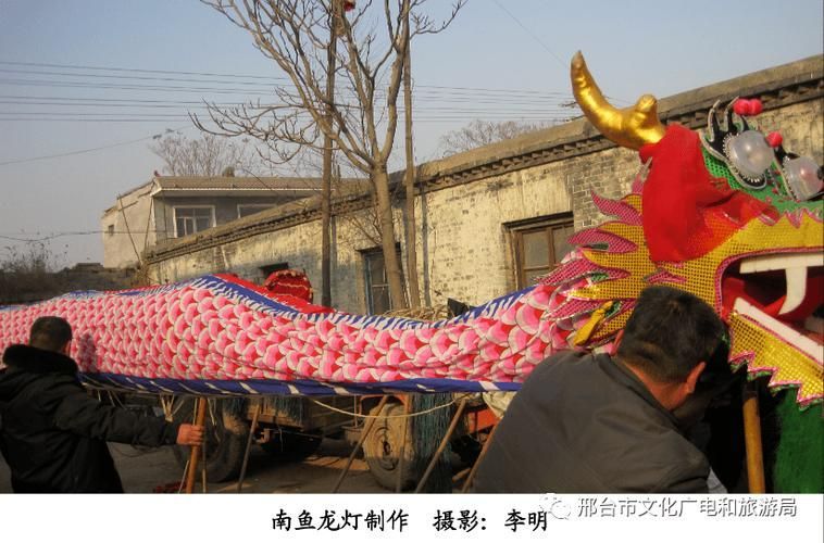 隆堯龍魚的市場口碑如何？，隆堯龍魚市場口碑如何，隆堯龍魚市場口碑慢用戶需要求